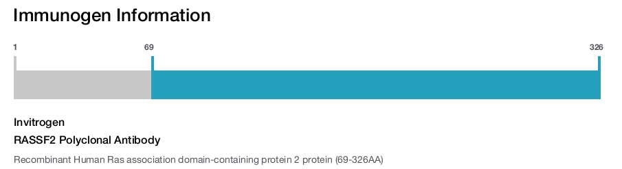 RASSF2 Polyclonal Antibody