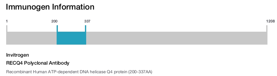 RECQ4 Polyclonal Antibody