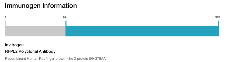 RFPL2 Polyclonal Antibody
