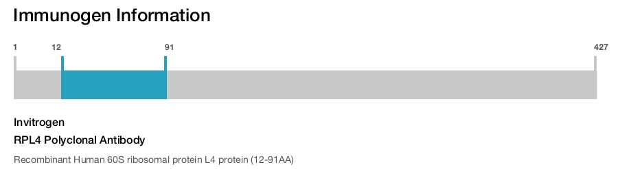 RPL4 Polyclonal Antibody