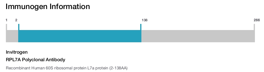 RPL7A Polyclonal Antibody