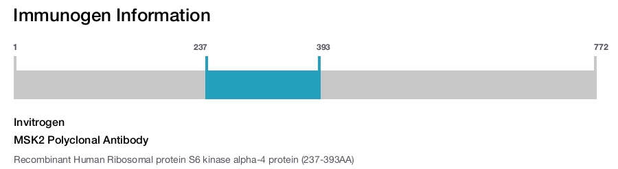 MSK2 Polyclonal Antibody