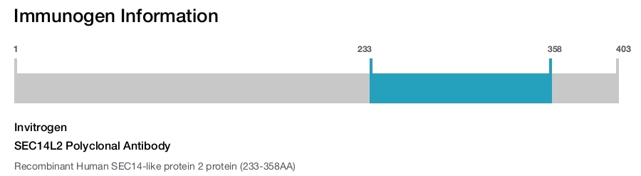 SEC14L2 Polyclonal Antibody