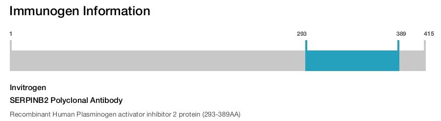 SERPINB2 Polyclonal Antibody