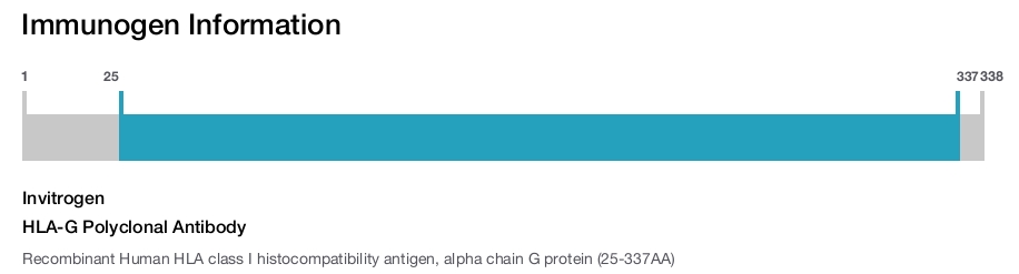 HLA-G Polyclonal Antibody