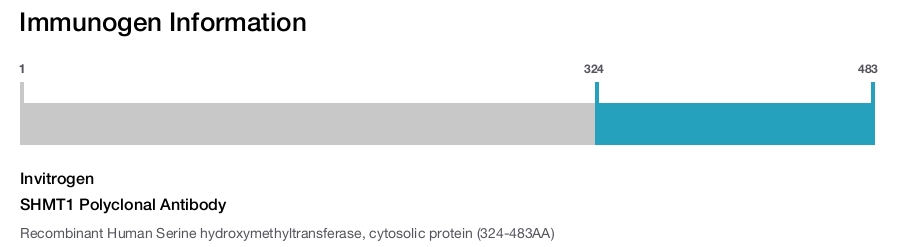 SHMT1 Polyclonal Antibody