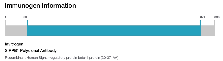 SIRPB1 Polyclonal Antibody