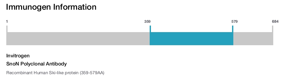 SnoN Polyclonal Antibody