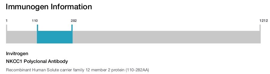 NKCC1 Polyclonal Antibody