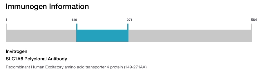 SLC1A6 Polyclonal Antibody