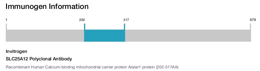 SLC25A12 Polyclonal Antibody