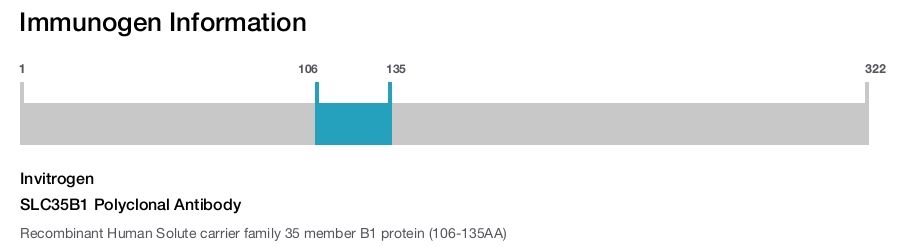SLC35B1 Polyclonal Antibody
