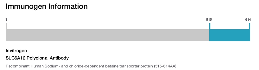 SLC6A12 Polyclonal Antibody