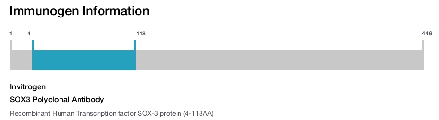 SOX3 Polyclonal Antibody