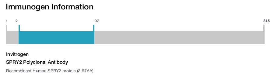 SPRY2 Polyclonal Antibody