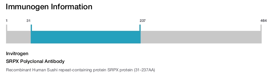 SRPX Polyclonal Antibody