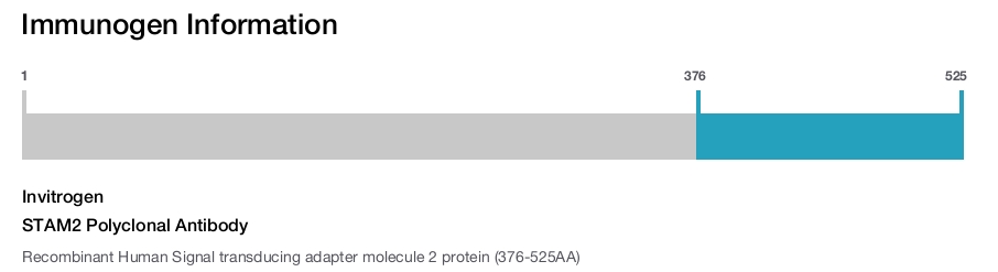 STAM2 Polyclonal Antibody