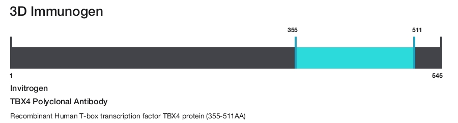 TBX4 Polyclonal Antibody