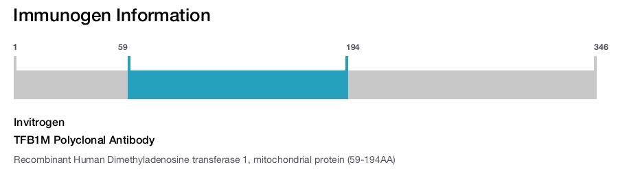 TFB1M Polyclonal Antibody