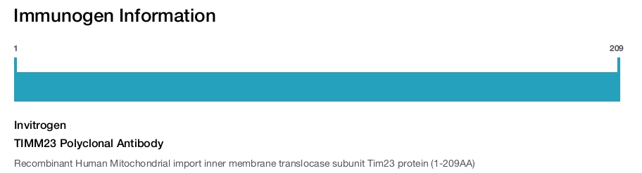 TIMM23 Polyclonal Antibody
