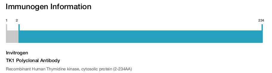 TK1 Polyclonal Antibody