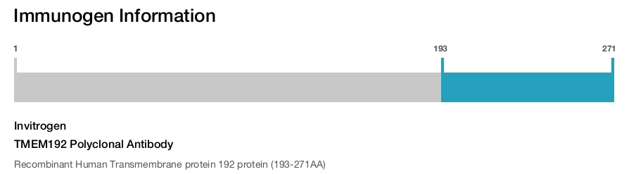 TMEM192 Polyclonal Antibody