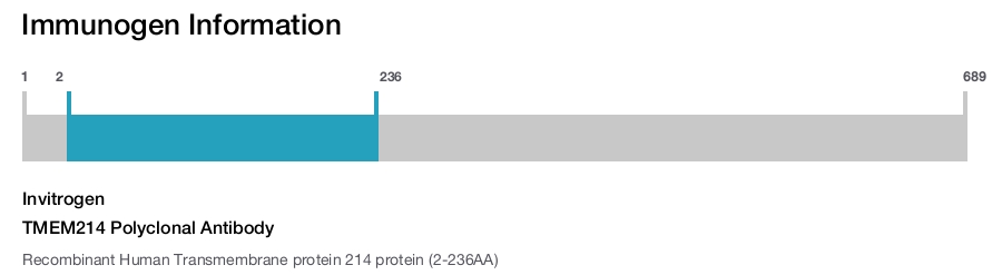 TMEM214 Polyclonal Antibody