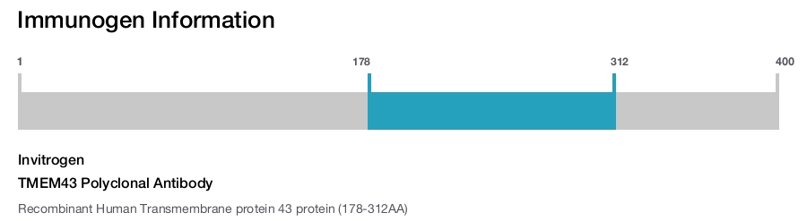 TMEM43 Polyclonal Antibody