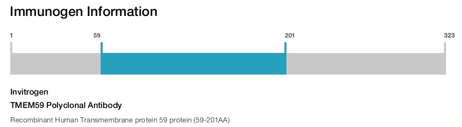 TMEM59 Polyclonal Antibody