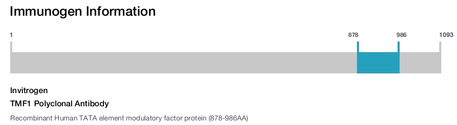 TMF1 Polyclonal Antibody