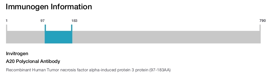 A20 Polyclonal Antibody