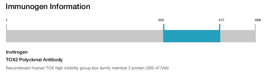 TOX2 Polyclonal Antibody