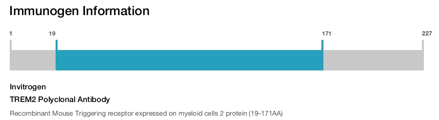 TREM2 Polyclonal Antibody