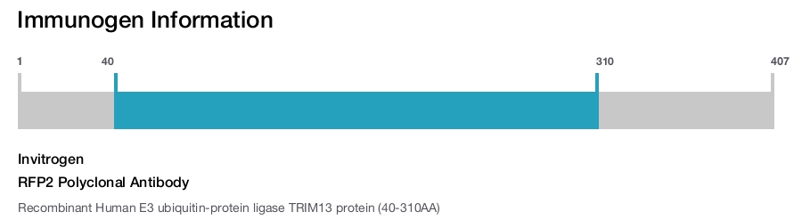 RFP2 Polyclonal Antibody