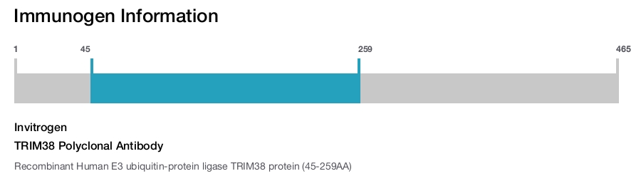 TRIM38 Polyclonal Antibody