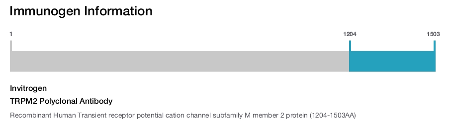 TRPM2 Polyclonal Antibody