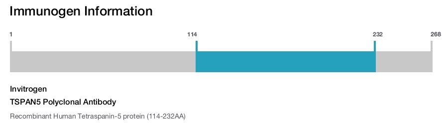 TSPAN5 Polyclonal Antibody
