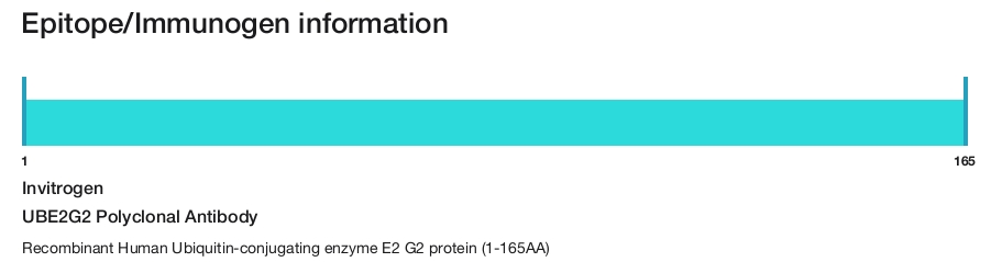 UBE2G2 Polyclonal Antibody