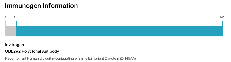 UBE2V2 Polyclonal Antibody