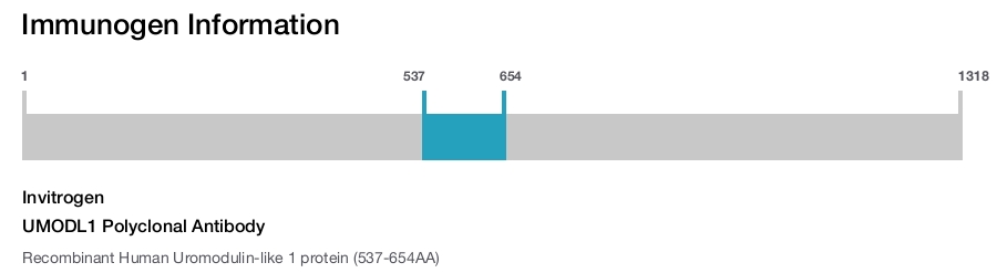 UMODL1 Polyclonal Antibody