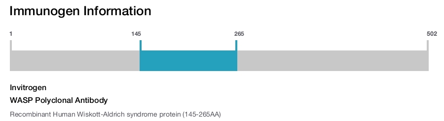 WASP Polyclonal Antibody