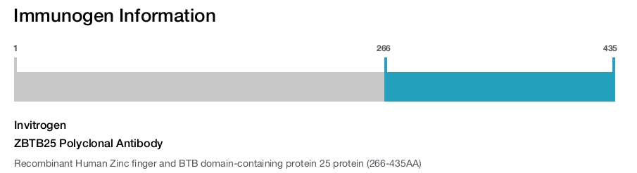 ZBTB25 Polyclonal Antibody