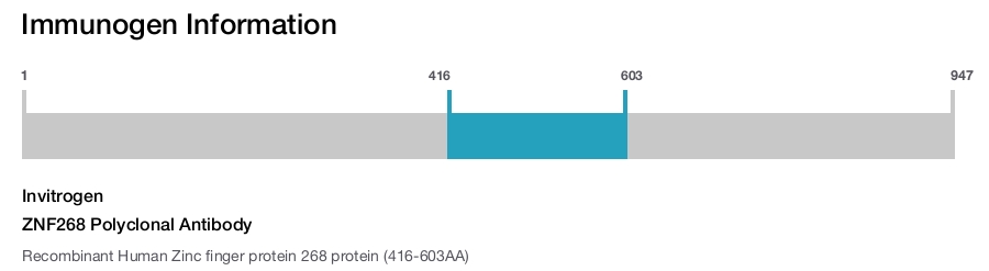 ZNF268 Polyclonal Antibody