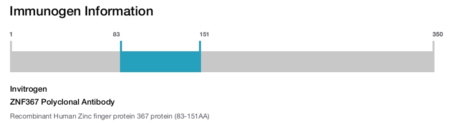 ZNF367 Polyclonal Antibody