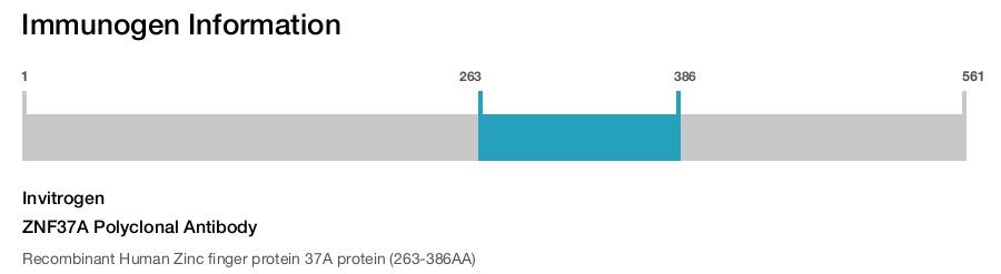 ZNF37A Polyclonal Antibody