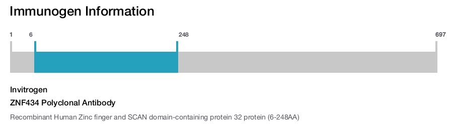 ZNF434 Polyclonal Antibody