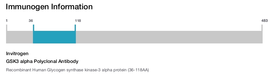 GSK3 alpha Polyclonal Antibody