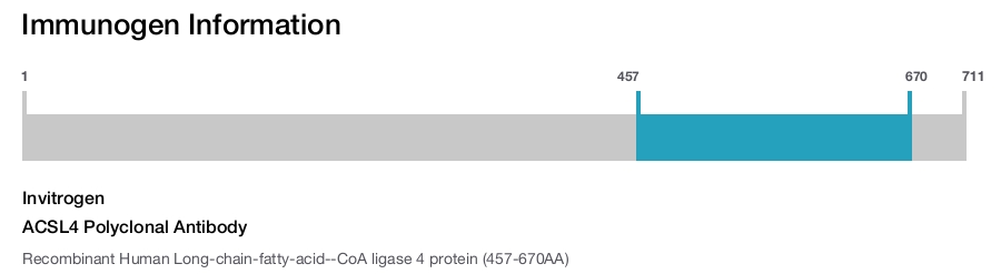 ACSL4 Polyclonal Antibody