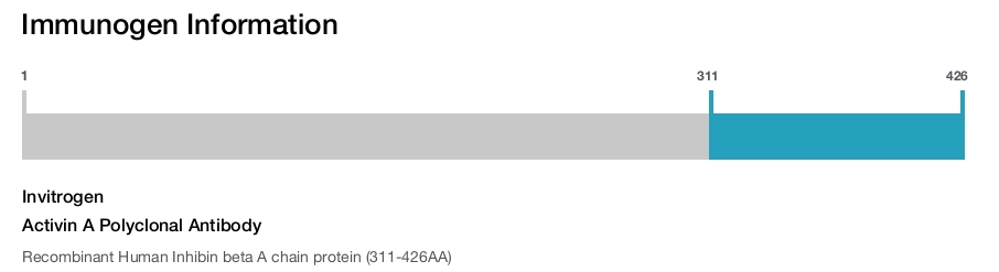 Activin A Polyclonal Antibody