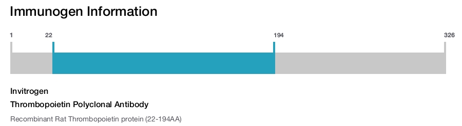 Thrombopoietin Polyclonal Antibody